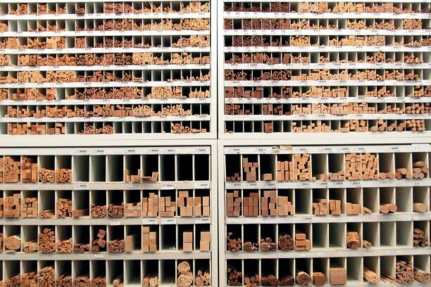 Populaire houtsoorten voor modelbouw